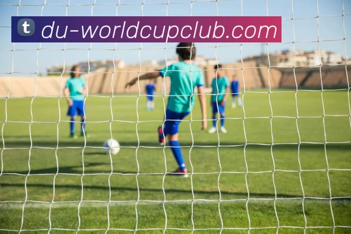 平台展示图